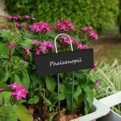 Marqueurs Etiquettes Plante De Pépinière, 12 Pcs Etiquette Jardin Métal Durable Antirouille Étiquettes Potager Marqueur Pour Fleur Légumes Graine Jardin Pépinière (Noir) 7 Marqueurs Etiquettes Plante De Pépinière, 12 Pcs Etiquette Jardin Métal Durable Antirouille Étiquettes Potager Marqueur Pour Fleur Légumes Graine Jardin Pépinière (Noir) -Terre Tendre Soldes Boutique 100266562 3