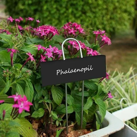 Marqueurs Etiquettes Plante De Pépinière, 12 Pcs Etiquette Jardin Métal Durable Antirouille Étiquettes Potager Marqueur Pour Fleur Légumes Graine Jardin Pépinière (Noir) 3 Marqueurs Etiquettes Plante De Pépinière, 12 Pcs Etiquette Jardin Métal Durable Antirouille Étiquettes Potager Marqueur Pour Fleur Légumes Graine Jardin Pépinière (Noir) – Image 3