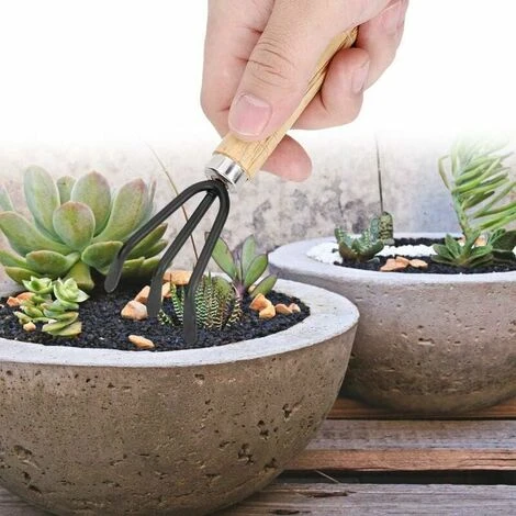 Mini Râteau De Jardinage Et 2 Pelles, Petits Outils Pratiques De Fleur De Plante De Griffe De Pelle Avec Poignée En Bois Pour Le Jardinage En Pot (Ensemble De 3 Pièces) 4 Mini Râteau De Jardinage Et 2 Pelles, Petits Outils Pratiques De Fleur De Plante De Griffe De Pelle Avec Poignée En Bois Pour Le Jardinage En Pot (Ensemble De 3 Pièces) – Image 4