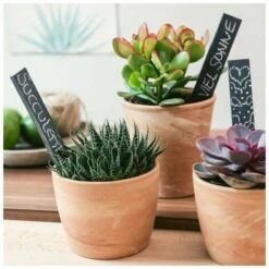 Etiquette Plante Ardoise - Marque-Plante 20 X 3 Cm - Lot De 10 Etiquettes Jardin Ou Balcon Pour Plantes Légumes Fleurs - Ecriteau Avec Craie 7 Etiquette Plante Ardoise - Marque-Plante 20 X 3 Cm - Lot De 10 Etiquettes Jardin Ou Balcon Pour Plantes Légumes Fleurs - Ecriteau Avec Craie -Terre Tendre Soldes Boutique 100345445 3