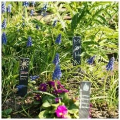 Etiquette Plante Ardoise - Marque-Plante 20 X 3 Cm - Lot De 10 Etiquettes Jardin Ou Balcon Pour Plantes Légumes Fleurs - Ecriteau Avec Craie 9 Etiquette Plante Ardoise - Marque-Plante 20 X 3 Cm - Lot De 10 Etiquettes Jardin Ou Balcon Pour Plantes Légumes Fleurs - Ecriteau Avec Craie -Terre Tendre Soldes Boutique 100345445 5