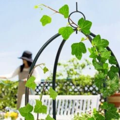 Relaxdays Obélisque Tuteur, Plantes Grimpantes, Rosiers Arcade, Arceau Roses, Arche Jardin, Métal 190 Cm, Vert 7 Relaxdays Obélisque Tuteur, Plantes Grimpantes, Rosiers Arcade, Arceau Roses, Arche Jardin, Métal 190 Cm, Vert -Terre Tendre Soldes Boutique 10363208 3