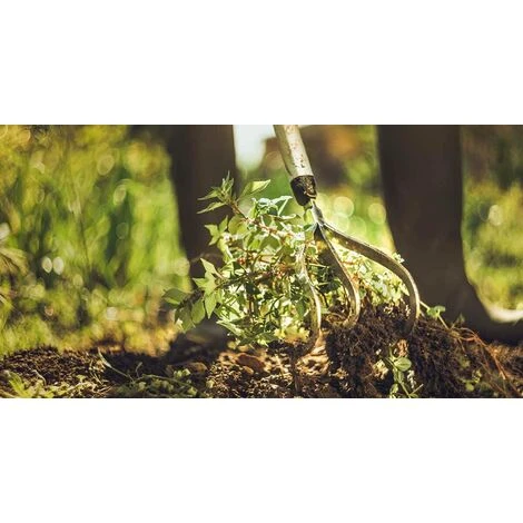 Fiskars Griffe De Jardin 3 Dents, Manche En Aluminium Renforcé, Poignée SoftGrip™, Xact, 1027040 3 Fiskars Griffe De Jardin 3 Dents, Manche En Aluminium Renforcé, Poignée SoftGrip™, Xact, 1027040 – Image 3