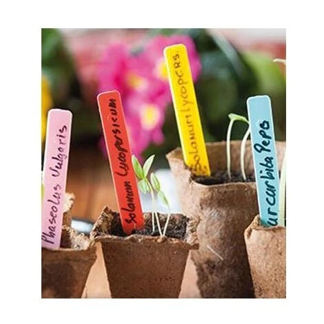 Nature Etiquettes Rigides En Plastique à Planter 2 Nature Etiquettes Rigides En Plastique à Planter – Image 2