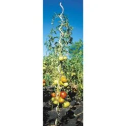 Lot 5 Tuteurs Spirales 1,8m Werkapro En Acier 7 Lot 5 Tuteurs Spirales 1,8m Werkapro En Acier -Terre Tendre Soldes Boutique 12193753 4