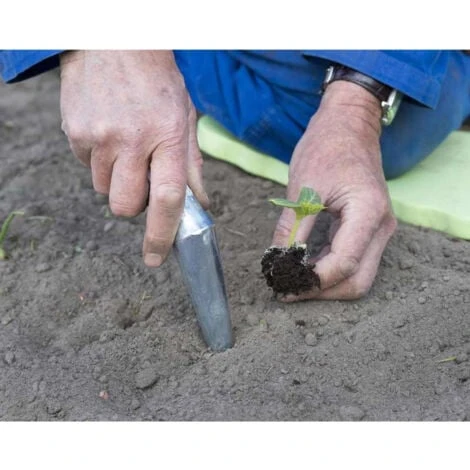 Nature Plantoir Conique 2 Nature Plantoir Conique – Image 2