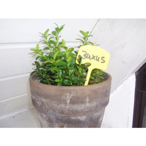 Nature Lot De 10 étiquettes Pour Plantes En Plastique 2 Nature Lot De 10 étiquettes Pour Plantes En Plastique – Image 2