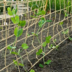 Nature Filet à Ramer En Jute, Dimensions 1 X 3 M