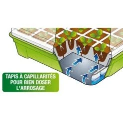 Kit De Germination 40 Godets Lot X2 Pour Semis 9 Kit De Germination 40 Godets Lot X2 Pour Semis -Terre Tendre Soldes Boutique 281362 5