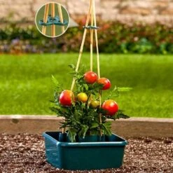 Réservoir Pour Tomates Avec Socle à Tuteur -Terre Tendre Soldes Boutique 30043053 4