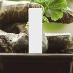 200 Pièces En Plastique Plante Nom étiquette Fleur étiquette Marqueur Nom De La Graine Piquet étiquettes Pépinière Semis étiquettes Pour Jardin En Pot Herbes Fleurs Légumes(Blanc) 8 200 Pièces En Plastique Plante Nom étiquette Fleur étiquette Marqueur Nom De La Graine Piquet étiquettes Pépinière Semis étiquettes Pour Jardin En Pot Herbes Fleurs Légumes(Blanc) -Terre Tendre Soldes Boutique 30115031 4