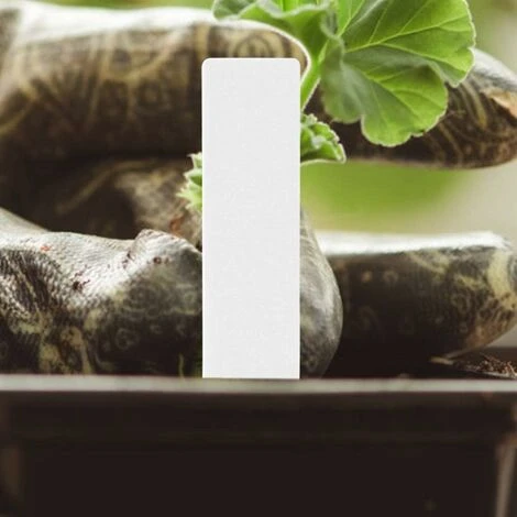 200 Pièces En Plastique Plante Nom étiquette Fleur étiquette Marqueur Nom De La Graine Piquet étiquettes Pépinière Semis étiquettes Pour Jardin En Pot Herbes Fleurs Légumes(Blanc) 4 200 Pièces En Plastique Plante Nom étiquette Fleur étiquette Marqueur Nom De La Graine Piquet étiquettes Pépinière Semis étiquettes Pour Jardin En Pot Herbes Fleurs Légumes(Blanc) – Image 4