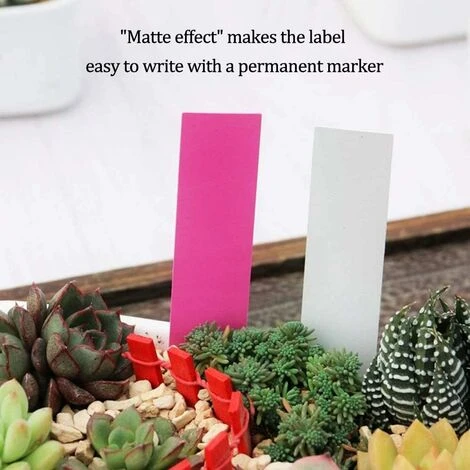 LangRay 500 Pcs Étiquettes De Graine De Fleur De Plante En Plastique Imperméable Réutilisable En Plastique Marquent Des Étiquettes De Jardin Outils De Décoration, Colorées 4 LangRay 500 Pcs Étiquettes De Graine De Fleur De Plante En Plastique Imperméable Réutilisable En Plastique Marquent Des Étiquettes De Jardin Outils De Décoration, Colorées – Image 4