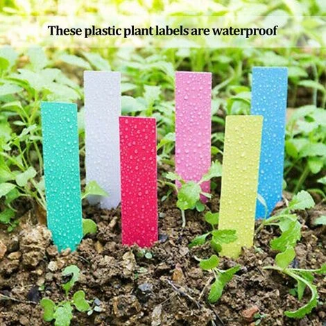 LangRay 500 Pcs Étiquettes De Graine De Fleur De Plante En Plastique Imperméable Réutilisable En Plastique Marquent Des Étiquettes De Jardin Outils De Décoration, Colorées 5 LangRay 500 Pcs Étiquettes De Graine De Fleur De Plante En Plastique Imperméable Réutilisable En Plastique Marquent Des Étiquettes De Jardin Outils De Décoration, Colorées – Image 5