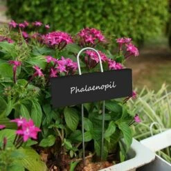 Marqueurs Etiquettes Plante De Pépinière, 12 Pcs Etiquette Jardin Métal Durable Antirouille Étiquettes Potager Marqueur Pour Fleur Légumes Graine Jardin Pépinière (Noir) 7 Marqueurs Etiquettes Plante De Pépinière, 12 Pcs Etiquette Jardin Métal Durable Antirouille Étiquettes Potager Marqueur Pour Fleur Légumes Graine Jardin Pépinière (Noir) -Terre Tendre Soldes Boutique 33436173 3