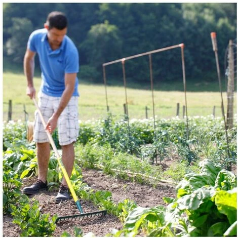 Râteau Duopro 14 Dents Courbes Manche Bois Certifié PEFC 2 Râteau Duopro 14 Dents Courbes Manche Bois Certifié PEFC – Image 2