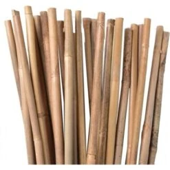 Lot 25 X Tuteurs En Bambou 180 Cm, 12-14 Mm. Tiges De Bambou, Canne De Bambou écologique Pour Maintenir Les Arbres, Les Plantes,