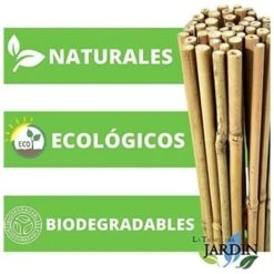Lot 25 X Tuteurs En Bambou 180 Cm, 12-14 Mm. Tiges De Bambou, Canne De Bambou écologique Pour Maintenir Les Arbres, Les Plantes, 9 Lot 25 X Tuteurs En Bambou 180 Cm, 12-14 Mm. Tiges De Bambou, Canne De Bambou écologique Pour Maintenir Les Arbres, Les Plantes, -Terre Tendre Soldes Boutique 35228744 5