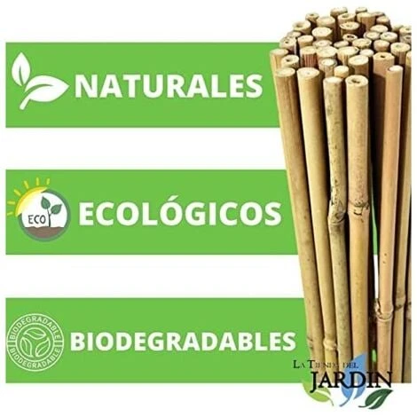 Lot 25 X Tuteurs En Bambou 180 Cm, 12-14 Mm. Tiges De Bambou, Canne De Bambou écologique Pour Maintenir Les Arbres, Les Plantes, 5 Lot 25 X Tuteurs En Bambou 180 Cm, 12-14 Mm. Tiges De Bambou, Canne De Bambou écologique Pour Maintenir Les Arbres, Les Plantes, – Image 5