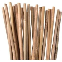 Lot 50 X Tuteurs En Bambou 180 Cm, 12-14 Mm. Tiges De Bambou, Canne De Bambou écologique Pour Maintenir Les Arbres, Les Plantes
