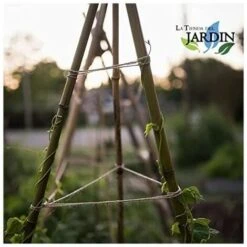 Lot 50 X Tuteurs En Bambou 180 Cm, 12-14 Mm. Tiges De Bambou, Canne De Bambou écologique Pour Maintenir Les Arbres, Les Plantes 7 Lot 50 X Tuteurs En Bambou 180 Cm, 12-14 Mm. Tiges De Bambou, Canne De Bambou écologique Pour Maintenir Les Arbres, Les Plantes -Terre Tendre Soldes Boutique 35228745 3