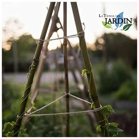 Lot 50 X Tuteurs En Bambou 180 Cm, 12-14 Mm. Tiges De Bambou, Canne De Bambou écologique Pour Maintenir Les Arbres, Les Plantes 3 Lot 50 X Tuteurs En Bambou 180 Cm, 12-14 Mm. Tiges De Bambou, Canne De Bambou écologique Pour Maintenir Les Arbres, Les Plantes – Image 3