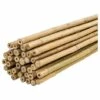 Plantawa Pack 50 Unités Tuteurs Bambou Naturel 60cm Pour Supporter Plantes