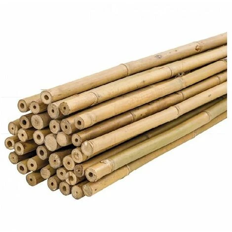 Plantawa Pack 50 Unités Tuteurs Bambou Naturel 60cm Pour Supporter Plantes 1 Plantawa Pack 50 Unités Tuteurs Bambou Naturel 60cm Pour Supporter Plantes