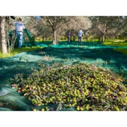 Filet De Récolte Pantalon 95g/m² Vert 8m X 8m