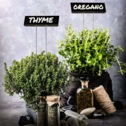 Etiquettes De Plantes, Marqueurs Etiquettes Plante, 12 Pcs Etiquette Jardin Métal Durable Antirouille Étiquettes Potager Marqueur Pour Fleur Légumes Graine Jardin Pépinière (Noir) 7 Etiquettes De Plantes, Marqueurs Etiquettes Plante, 12 Pcs Etiquette Jardin Métal Durable Antirouille Étiquettes Potager Marqueur Pour Fleur Légumes Graine Jardin Pépinière (Noir) -Terre Tendre Soldes Boutique 42187976 3