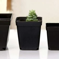 Petit Pot Carré De Fleur Plastique Plante Intérieur Exterieur, 25Pcs Versailles Pots Semis Carrés De Serre, Pot Succulent Plants Avec Trou De Vidange, Jardinieres Exterieur Balcon Plastique 8 Petit Pot Carré De Fleur Plastique Plante Intérieur Exterieur, 25Pcs Versailles Pots Semis Carrés De Serre, Pot Succulent Plants Avec Trou De Vidange, Jardinieres Exterieur Balcon Plastique -Terre Tendre Soldes Boutique 42476371 4