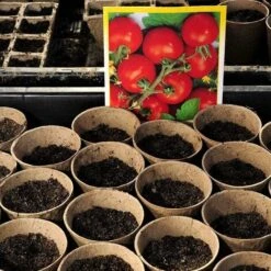 Pots Biodégradables,50pcs Pot De Semis Biodegradable, Pots En Fibre Sans Tourbe, Godet Semis Biodegradable, Pot De Tourbe 6 Pots Biodégradables,50pcs Pot De Semis Biodegradable, Pots En Fibre Sans Tourbe, Godet Semis Biodegradable, Pot De Tourbe -Terre Tendre Soldes Boutique 44322920 3