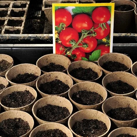 Pots Biodégradables,50pcs Pot De Semis Biodegradable, Pots En Fibre Sans Tourbe, Godet Semis Biodegradable, Pot De Tourbe 3 Pots Biodégradables,50pcs Pot De Semis Biodegradable, Pots En Fibre Sans Tourbe, Godet Semis Biodegradable, Pot De Tourbe – Image 3