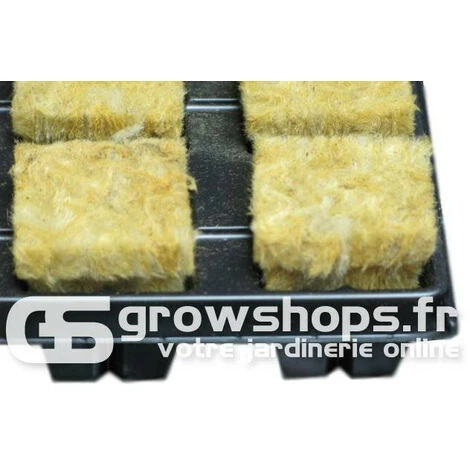 Plateau De Laine De Roche - 150 Cubes De 2,5 X 2,5 Cm 2 Plateau De Laine De Roche - 150 Cubes De 2,5 X 2,5 Cm – Image 2