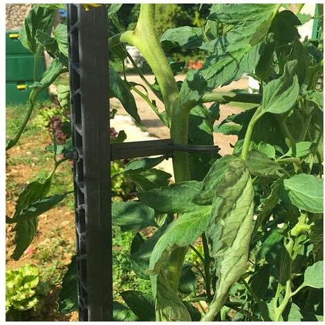 Mikado Tuteur Tomate - PACK 150 ANTHRACITE : 6 Tuteurs 150 Cm Et 24 Attaches 3 Mikado Tuteur Tomate - PACK 150 ANTHRACITE : 6 Tuteurs 150 Cm Et 24 Attaches – Image 3