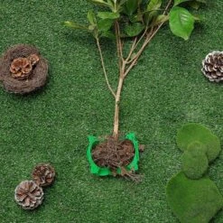 Boîte D'Enracinement De Plante Balle De Propagation Boîte à Racines De Plantes De Jardin Assistée Par Dispositif De Greffage Contrôleur De Racine De Coupe Et De Racine Botanique, Vert (12 Pièces), Ver 8 Boîte D'Enracinement De Plante Balle De Propagation Boîte à Racines De Plantes De Jardin Assistée Par Dispositif De Greffage Contrôleur De Racine De Coupe Et De Racine Botanique, Vert (12 Pièces), Ver -Terre Tendre Soldes Boutique 51282412 4