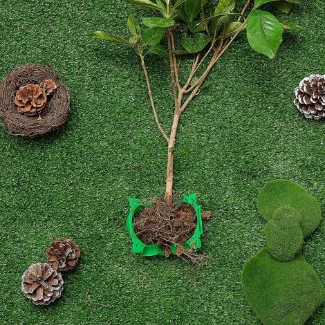 Boîte D'Enracinement De Plante Balle De Propagation Boîte à Racines De Plantes De Jardin Assistée Par Dispositif De Greffage Contrôleur De Racine De Coupe Et De Racine Botanique, Vert (12 Pièces), Ver 4 Boîte D'Enracinement De Plante Balle De Propagation Boîte à Racines De Plantes De Jardin Assistée Par Dispositif De Greffage Contrôleur De Racine De Coupe Et De Racine Botanique, Vert (12 Pièces), Ver – Image 4