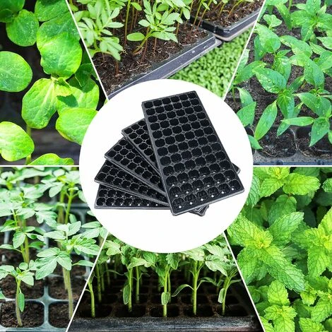 Plaques De Culture De 72 Cellules Bac à Semis Mini Serre Pour Semis Plateau De Germination Pour Emarrage Et Croissance Semence Macaron 5 Plaques De Culture De 72 Cellules Bac à Semis Mini Serre Pour Semis Plateau De Germination Pour Emarrage Et Croissance Semence Macaron – Image 5