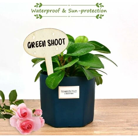 Étiquettes De Plantes Durables, En Forme D'ovale Étiquettes Plantes En Bois Étiquettes De Jardin Imperméable, Etiquette Jardin Pour Fleur Légumes Graine Jardin Pépinière Macaron 4 Étiquettes De Plantes Durables, En Forme D'ovale Étiquettes Plantes En Bois Étiquettes De Jardin Imperméable, Etiquette Jardin Pour Fleur Légumes Graine Jardin Pépinière Macaron – Image 4