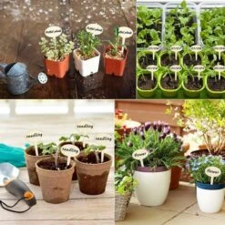 Étiquettes De Plantes Durables, En Forme D'ovale Étiquettes Plantes En Bois Étiquettes De Jardin Imperméable, Etiquette Jardin Pour Fleur Légumes Graine Jardin Pépinière Macaron 9 Étiquettes De Plantes Durables, En Forme D'ovale Étiquettes Plantes En Bois Étiquettes De Jardin Imperméable, Etiquette Jardin Pour Fleur Légumes Graine Jardin Pépinière Macaron -Terre Tendre Soldes Boutique 51376812 5