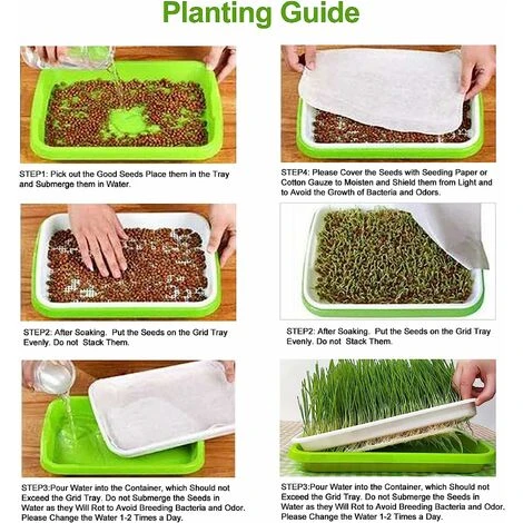 Keimschalen, 1 Stück Germinator, Töpfe, Sämling Schale, Sämling Schale, Baumschule Schale, Samenvermehrung Schale Für Den Hausgarten, Betterlife 2 Keimschalen, 1 Stück Germinator, Töpfe, Sämling Schale, Sämling Schale, Baumschule Schale, Samenvermehrung Schale Für Den Hausgarten, Betterlife – Image 2