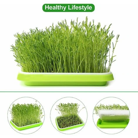 Keimschalen, 1 Stück Germinator, Töpfe, Sämling Schale, Sämling Schale, Baumschule Schale, Samenvermehrung Schale Für Den Hausgarten, Betterlife 4 Keimschalen, 1 Stück Germinator, Töpfe, Sämling Schale, Sämling Schale, Baumschule Schale, Samenvermehrung Schale Für Den Hausgarten, Betterlife – Image 4