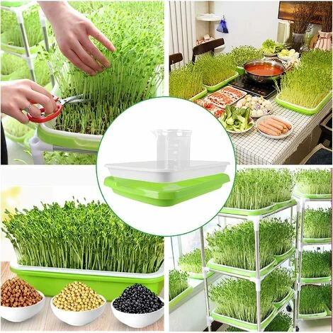 Keimschalen, 1 Stück Germinator, Töpfe, Sämling Schale, Sämling Schale, Baumschule Schale, Samenvermehrung Schale Für Den Hausgarten, Betterlife 5 Keimschalen, 1 Stück Germinator, Töpfe, Sämling Schale, Sämling Schale, Baumschule Schale, Samenvermehrung Schale Für Den Hausgarten, Betterlife – Image 5