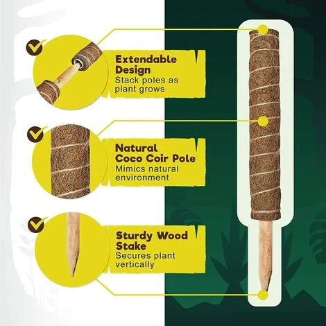 Tuteur Plante, 2 Pièces 41CM Support Plante Grimpante Tuteur Coco Pour Plante Monstera Maison Jardin Avec Twist 20 Meter Pour Soutenir Les Plantes 2 Tuteur Plante, 2 Pièces 41CM Support Plante Grimpante Tuteur Coco Pour Plante Monstera Maison Jardin Avec Twist 20 Meter Pour Soutenir Les Plantes – Image 2