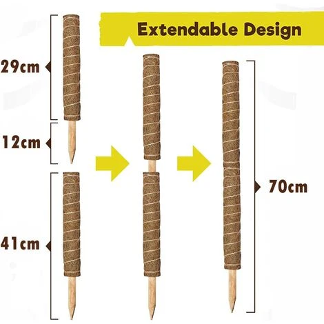 Tuteur Plante, 2 Pièces 41CM Support Plante Grimpante Tuteur Coco Pour Plante Monstera Maison Jardin Avec Twist 20 Meter Pour Soutenir Les Plantes 3 Tuteur Plante, 2 Pièces 41CM Support Plante Grimpante Tuteur Coco Pour Plante Monstera Maison Jardin Avec Twist 20 Meter Pour Soutenir Les Plantes – Image 3