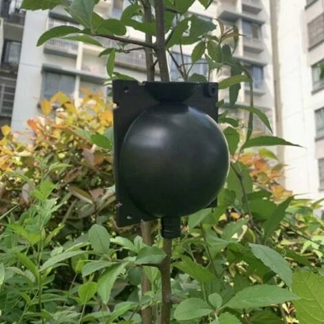 Boule Denracinement Des Plantes Boule Denracinement Des Plantes Botanique Contrôleur De Racines Propagation à Haute Pression 3 Taille Dispositif Réutilisable Denracinement Des Plantes 8 Pièces,Starlig 5 Boule Denracinement Des Plantes Boule Denracinement Des Plantes Botanique Contrôleur De Racines Propagation à Haute Pression 3 Taille Dispositif Réutilisable Denracinement Des Plantes 8 Pièces,Starlig – Image 5