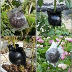 Boule Propagation 6 Pièces Boîte Enracinement Plantes Dispositif Racine Plante Boule Croissance Boîte Dispositif Enracinement Plantes Pour La Multiplication Des Plantes Greffage Formation De Racines，S -Terre Tendre Soldes Boutique 54459955 4