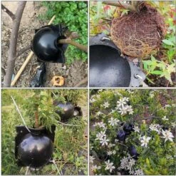 Boule Propagation 6 Pièces Boîte Enracinement Plantes Dispositif Racine Plante Boule Croissance Boîte Dispositif Enracinement Plantes Pour La Multiplication Des Plantes Greffage Formation De Racines，S -Terre Tendre Soldes Boutique 54459955 5