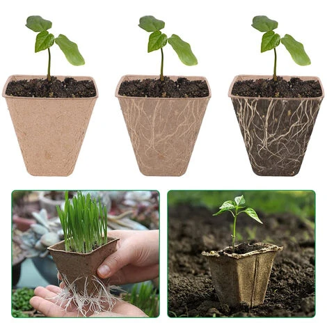 100 Pièces Pots De Semis En Fibre Biodégradable Godet Culture Semis Pour Jardins Potagers Serres - 6cm 4 100 Pièces Pots De Semis En Fibre Biodégradable Godet Culture Semis Pour Jardins Potagers Serres - 6cm – Image 4