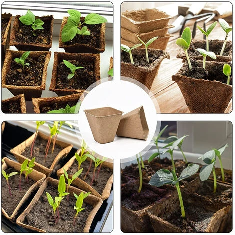 100 Pièces Pots De Semis En Fibre Biodégradable Godet Culture Semis Pour Jardins Potagers Serres - 6cm 5 100 Pièces Pots De Semis En Fibre Biodégradable Godet Culture Semis Pour Jardins Potagers Serres - 6cm – Image 5